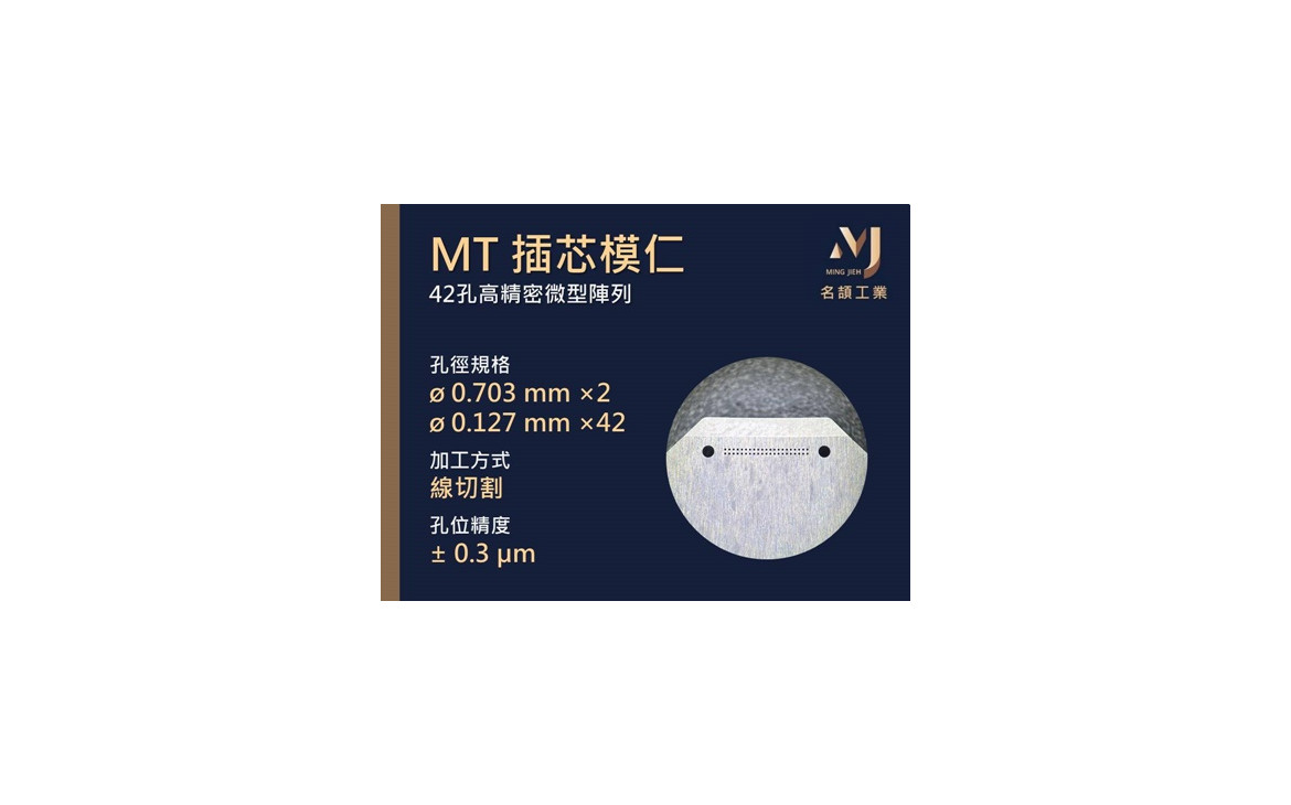 03-MT 插芯模仁(42孔)-1